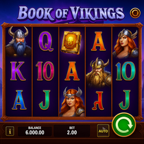 IviBet - Book of Vikings Slot Game